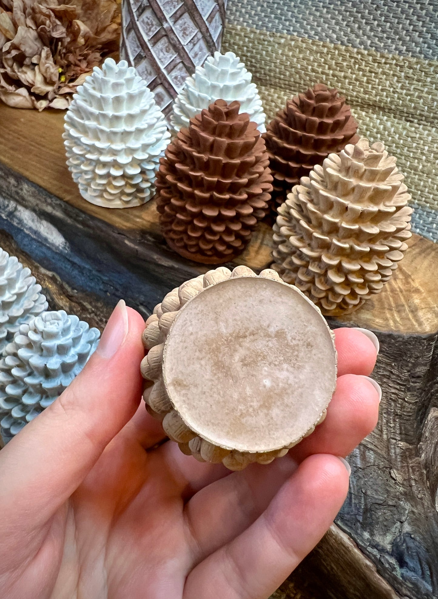 Set of Two Small Concrete Pine Cones