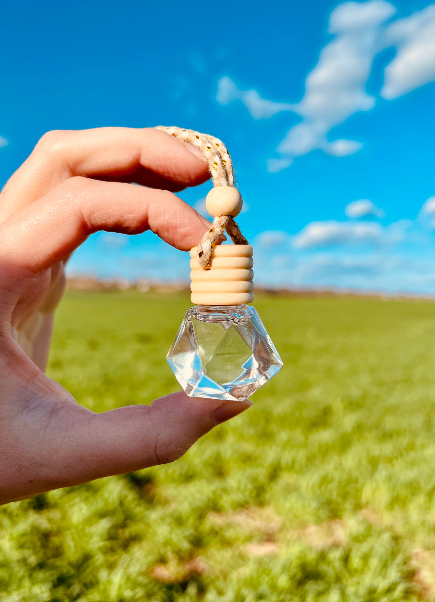 Natural Car Diffuser | Rearview Mirror Hanging Air Freshener