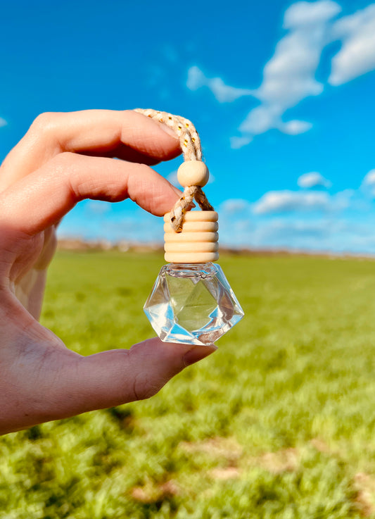 Natural Car Diffuser | Rearview Mirror Hanging Air Freshener