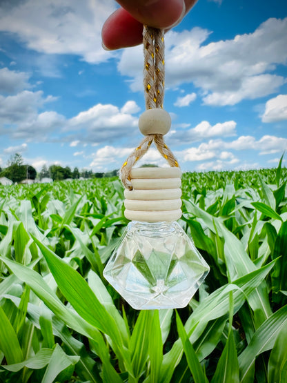 Natural Car Diffuser | Rearview Mirror Hanging Air Freshener