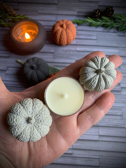 Set of Two Mini Concrete Pumpkins