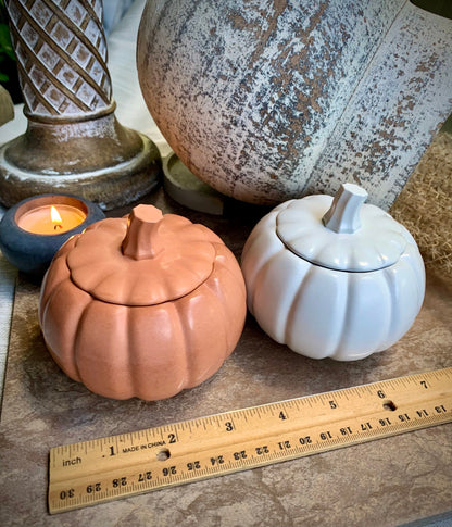 Concrete Pumpkin Tea Light Candle Holder with Lid and Unscented Beeswax and Soy Tealights