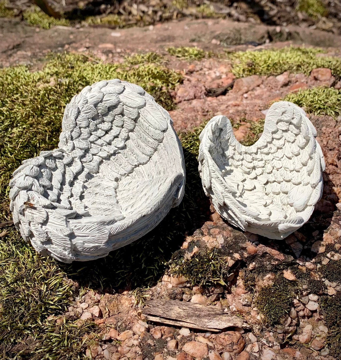 Concrete Angel Wings Dishes